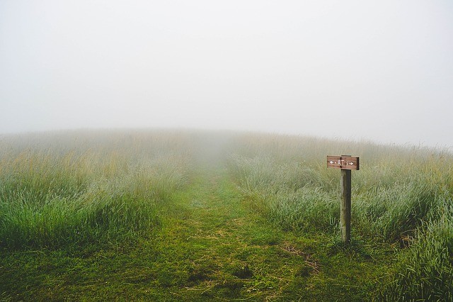 choose alcohol foggy path with sign