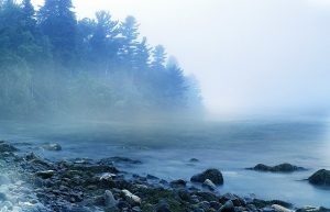 mist at lake