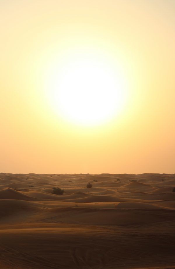 desert sun sensitive addict