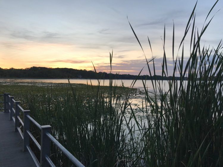 Sober walk on Reeds Lake at sunrise