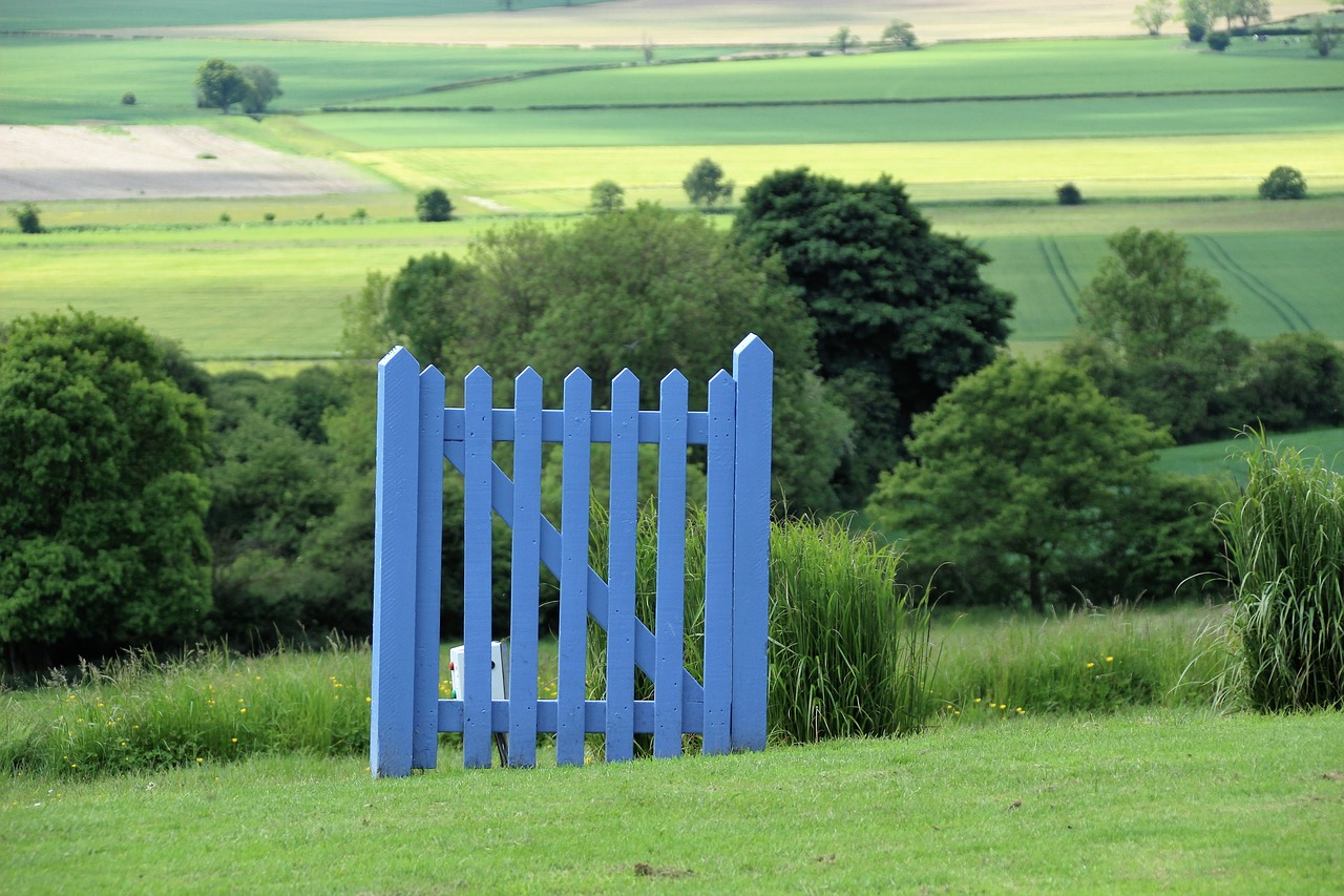 healthy boundaries fence in field