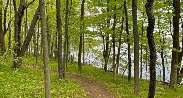hiking Michigan path through woods