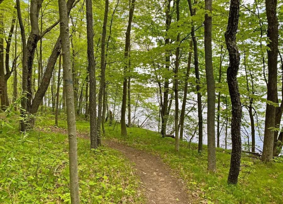 hiking Michigan path through woods