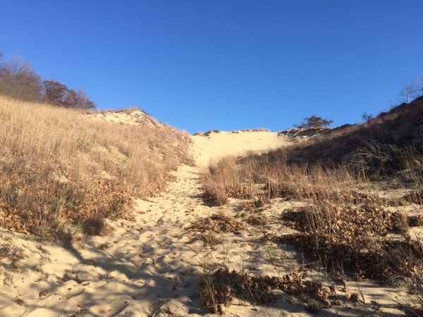 isolation and addiction path up a dune