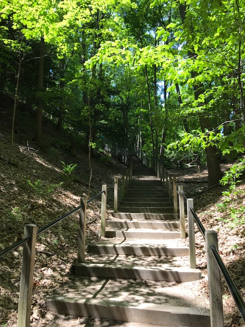 hiking Michigan park with stairs