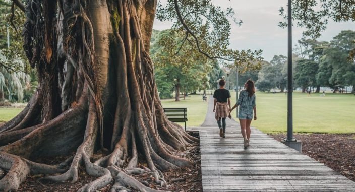 self-care and support people walking under big tree