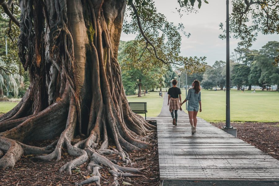 self-care and support people walking under big tree