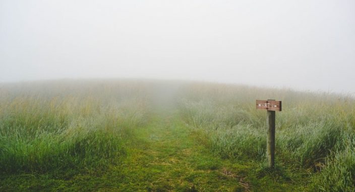 signs of depression foggy field