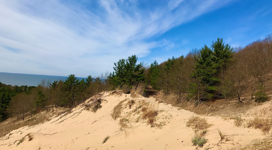 happy trails top of Saugatuck dune walking excursion
