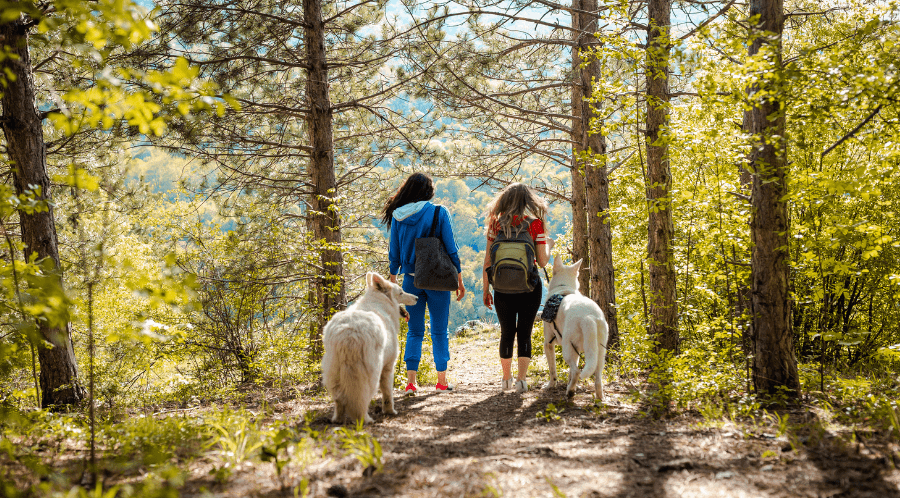 long-term effects of eating disorders two women and dogs walking in woods