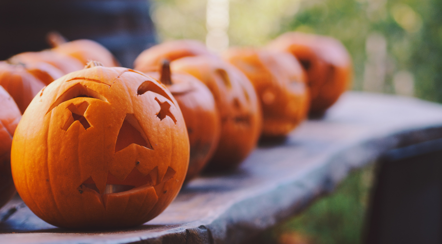 Line of carved pumpkins to symbolize alcohol-free holidays