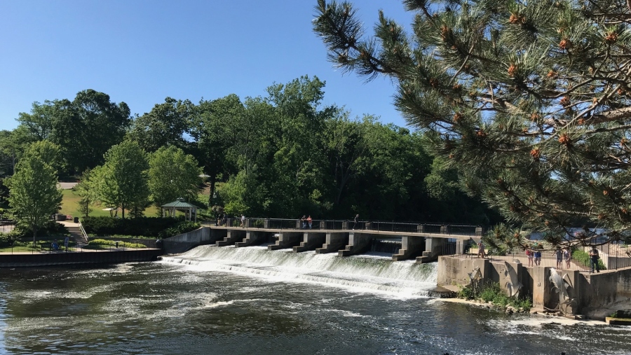 Health benefits of a Michigan Summer